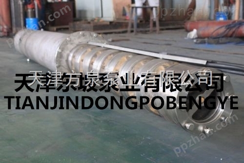 内蒙精铸不锈钢潜水泵-316潜水泵-东坡不锈钢潜水电泵