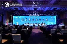 APP中国受邀出席2024中国纸浆高层峰会